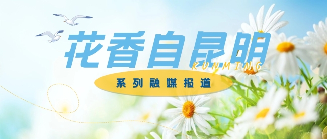 花香自昆明banner 花香自昆明banner