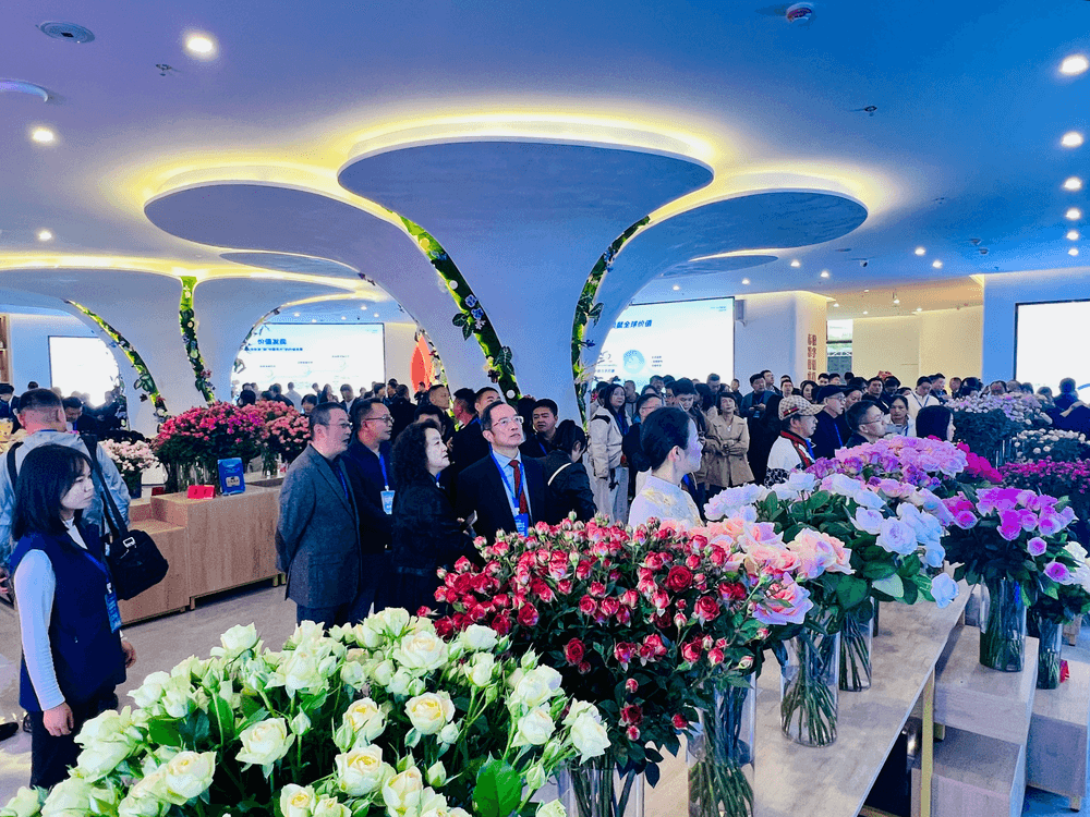 e2c9feca5eb7fa0ed3564f0e572e4574