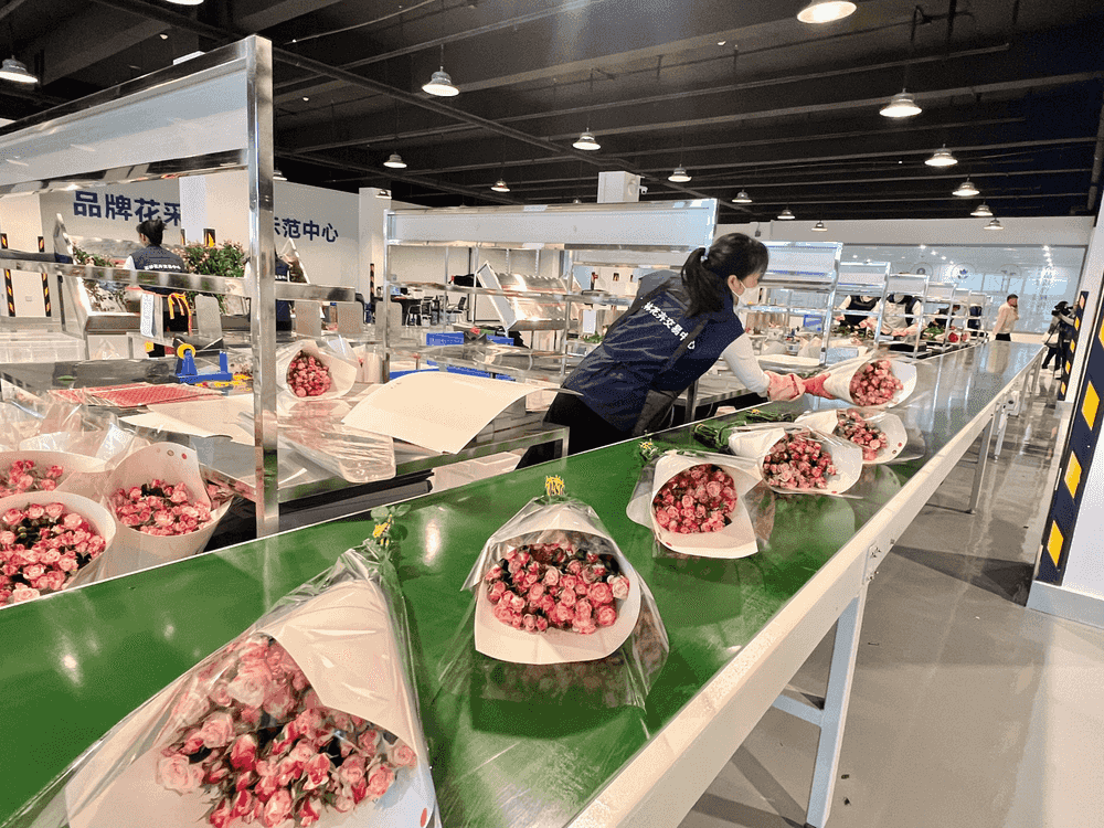 1ceef272f8845820f597d67309715214