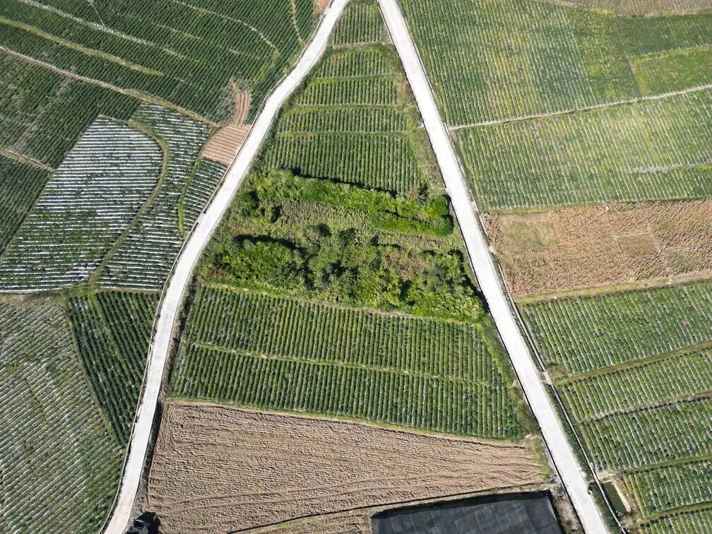 1765157995201687.jpg 02.jpg