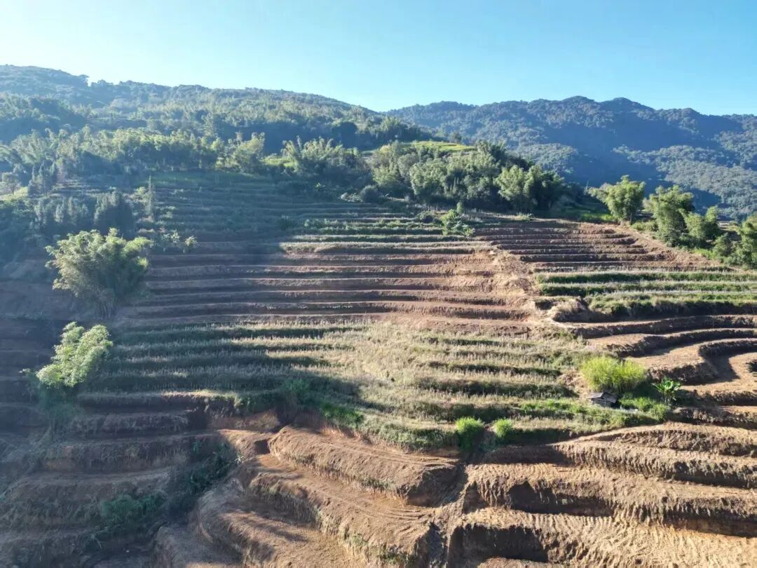 1765158016507331.jpg 05.jpg