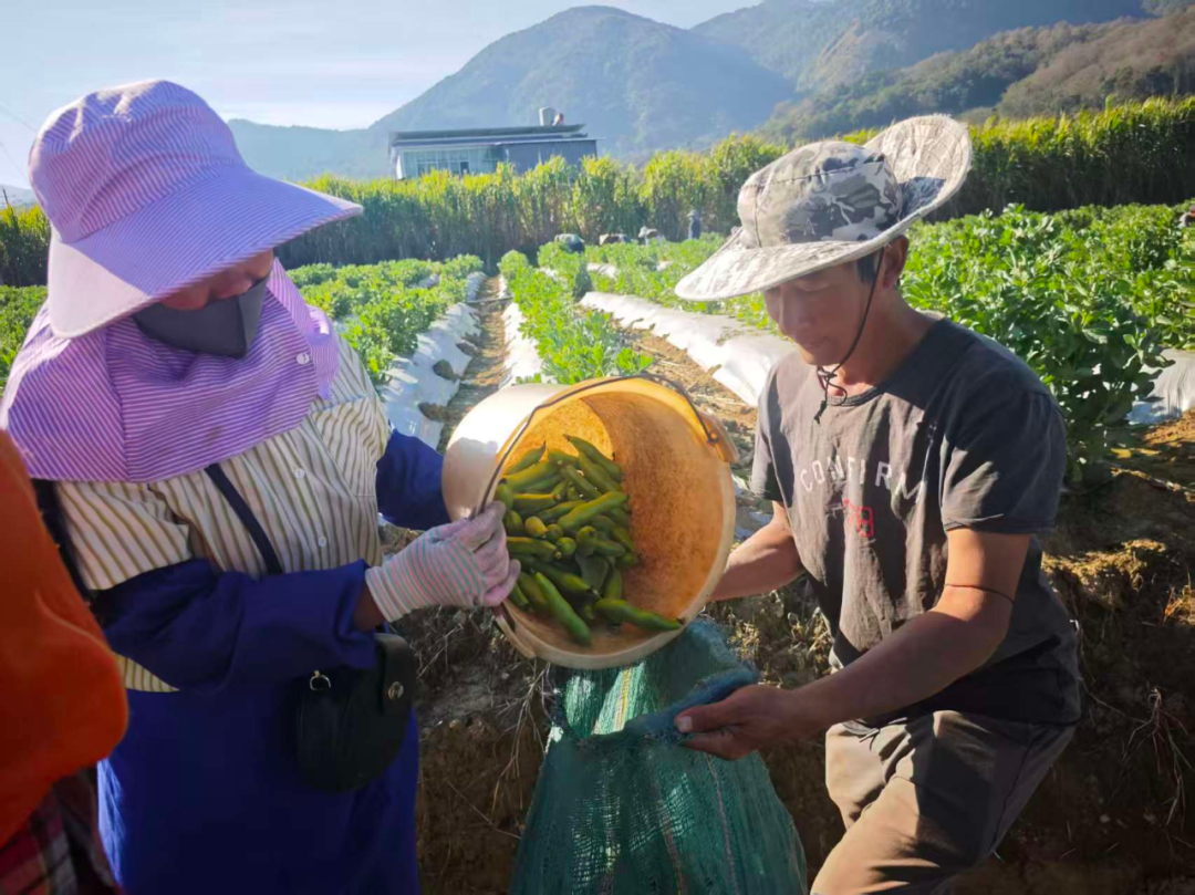 1765158272684938.png 12.png