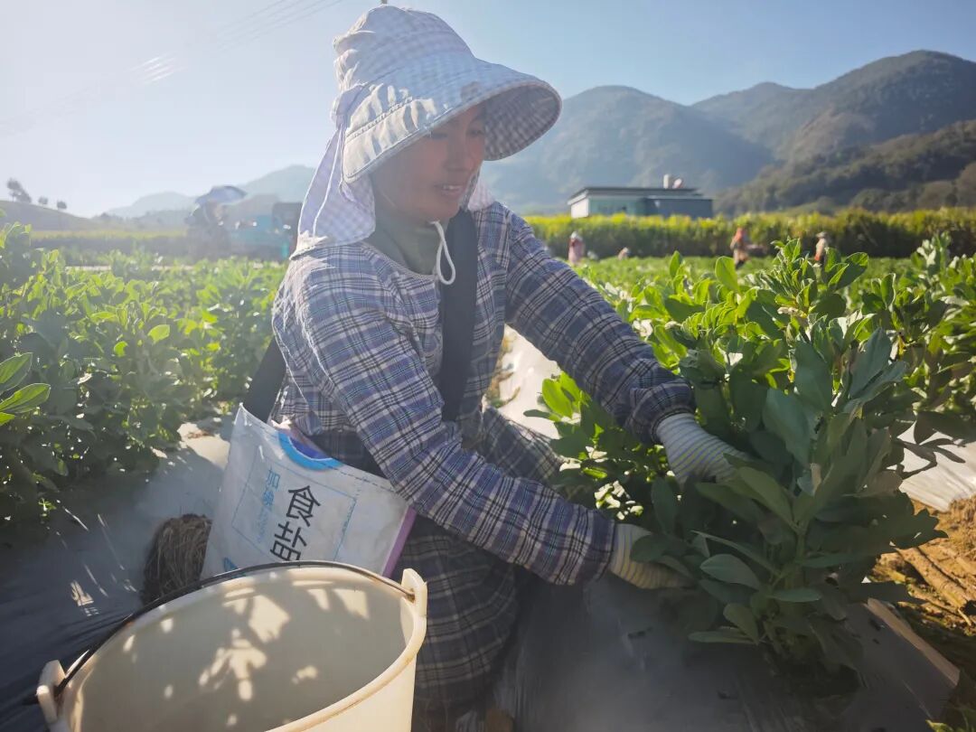 1765158284886701.jpg 13.jpg