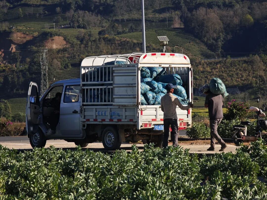 1765158291603689.jpg 14.jpg