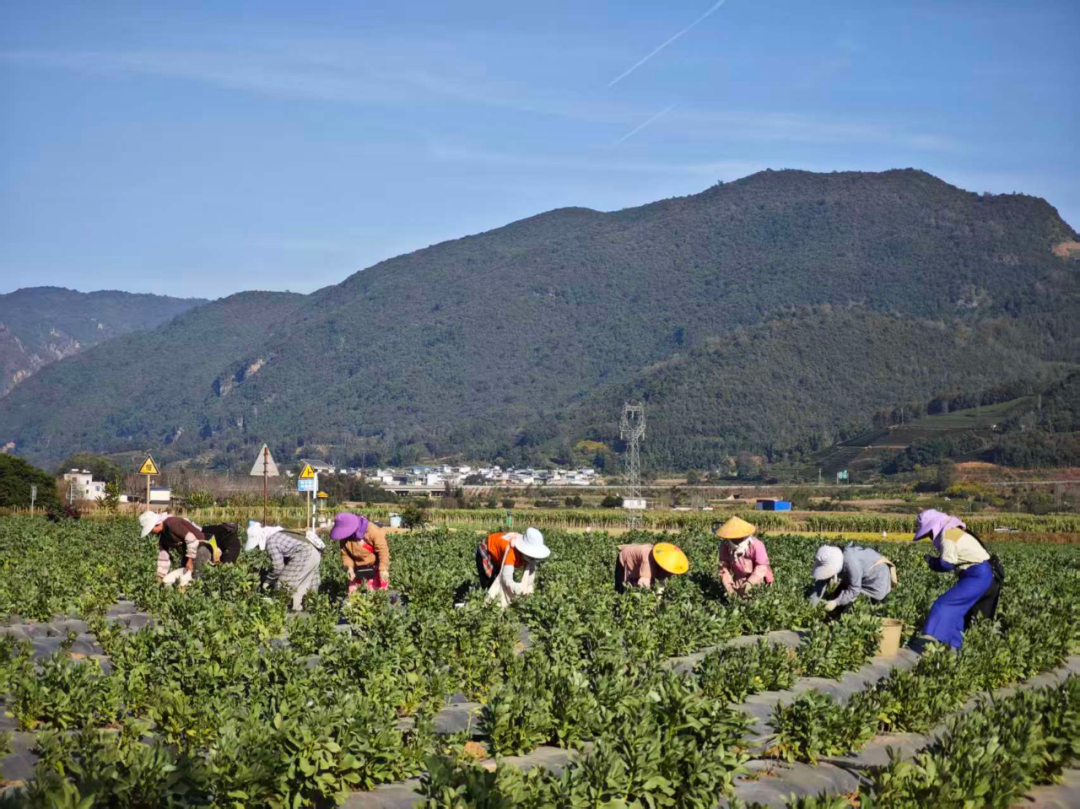 1765158301584660.png 15.png