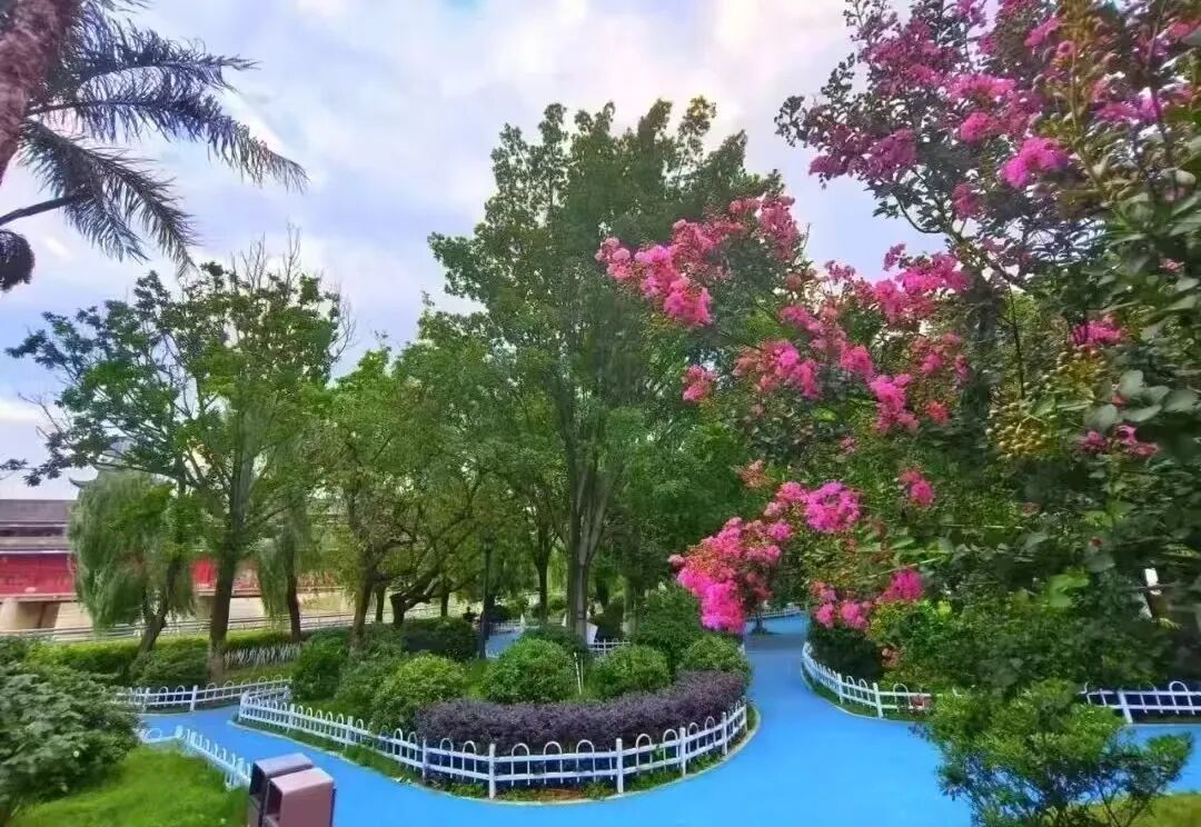 1765158727848374.jpg 23.jpg