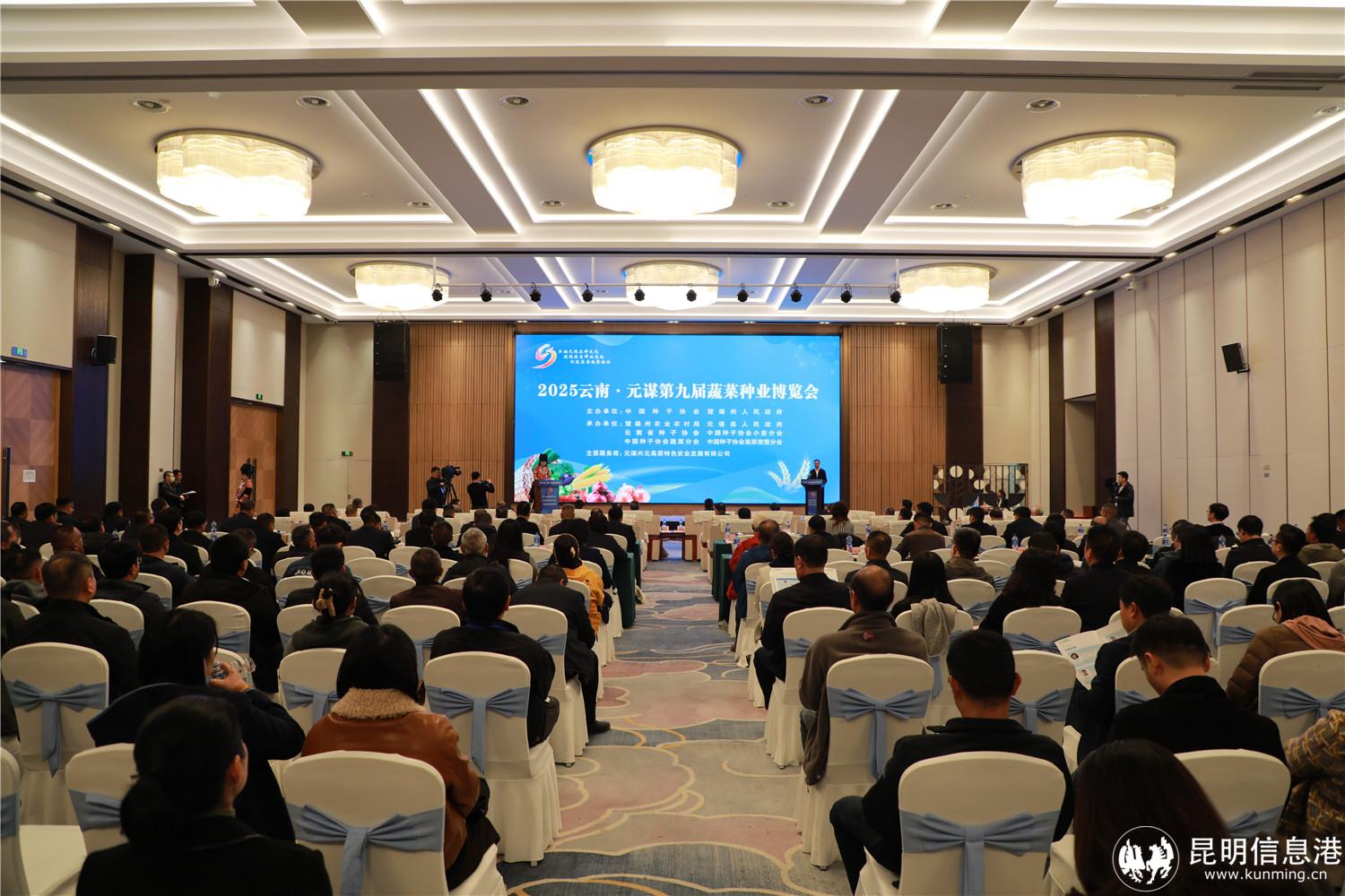 开幕式元谋县融媒体中心 钱星宇 摄 开幕式元谋县融媒体中心 钱星宇 摄