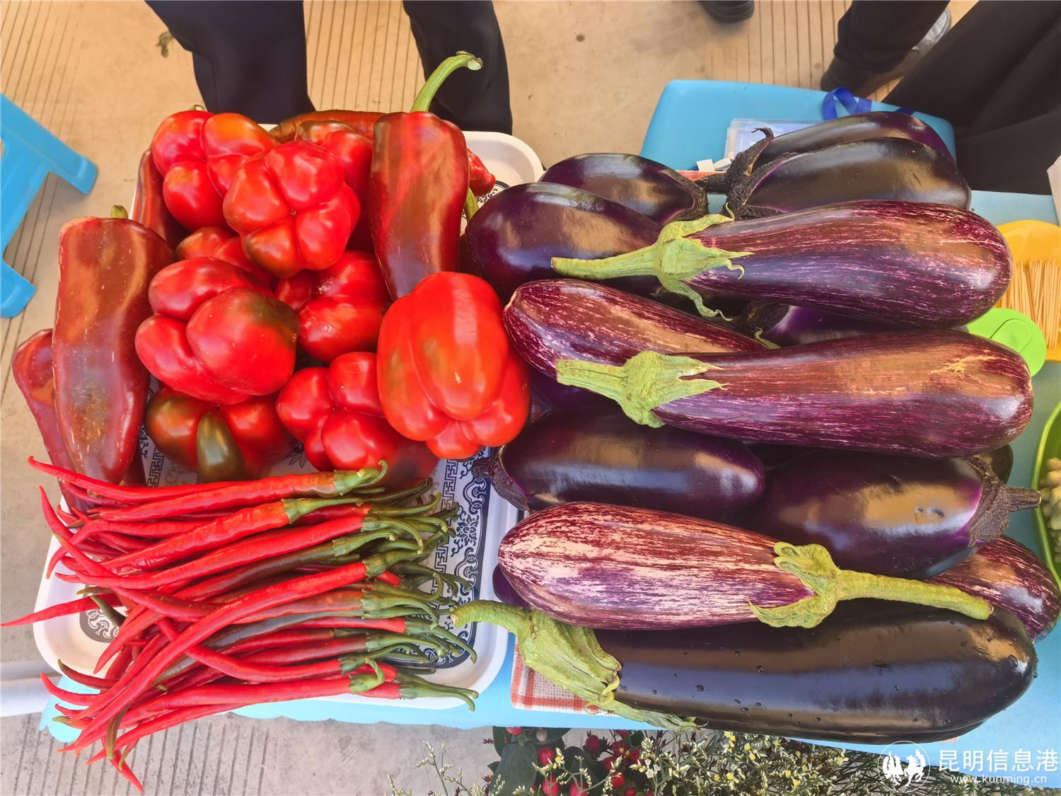 特色蔬菜 元谋县融媒体中心 杨格 摄 特色蔬菜 元谋县融媒体中心 杨格 摄