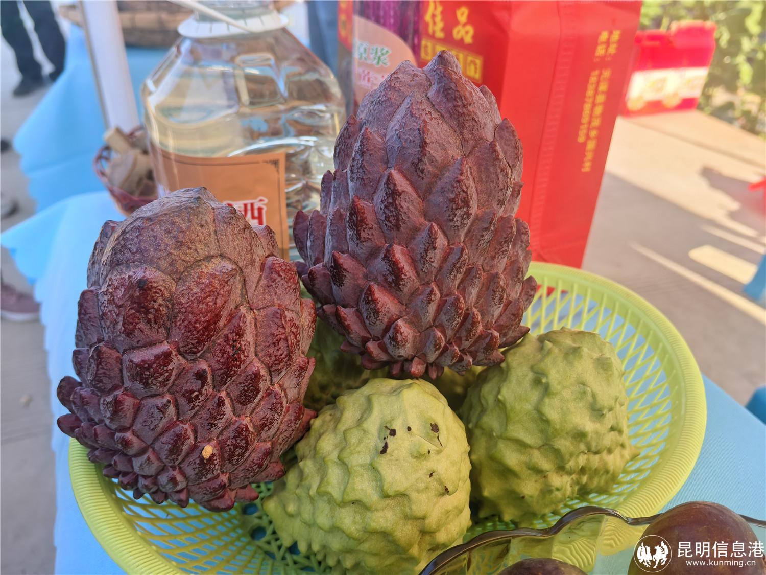 凤梨释迦 元谋县融媒体中心 杨格 摄 凤梨释迦 元谋县融媒体中心 杨格 摄