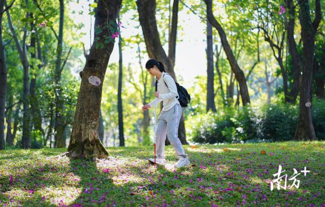 12月8日，许兴群在跑步途中，感受脚下的声音。