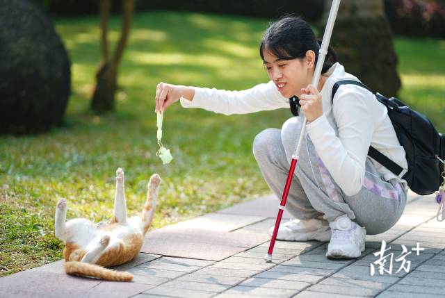 12月8日，许兴群在跑步途中，与遇到的猫咪玩耍。