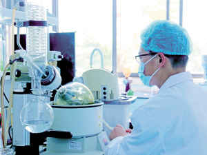 65081765902900280 65081765902900280