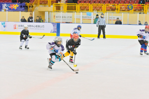 57721765903707031 57721765903707031