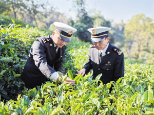 17331766078277539 17331766078277539