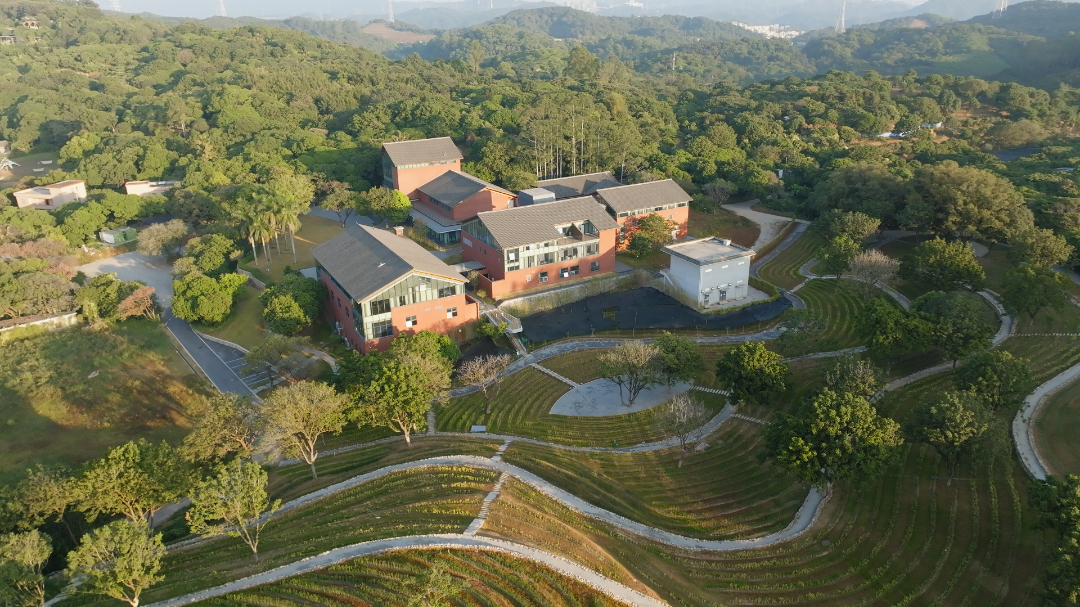 WJeAmpkr_rhEg.png?auth_key=1766332799-0-