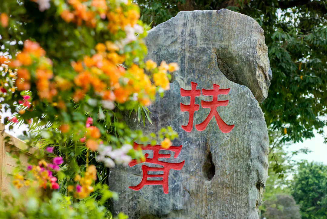 640?wx_fmt=png#imgIndex=7