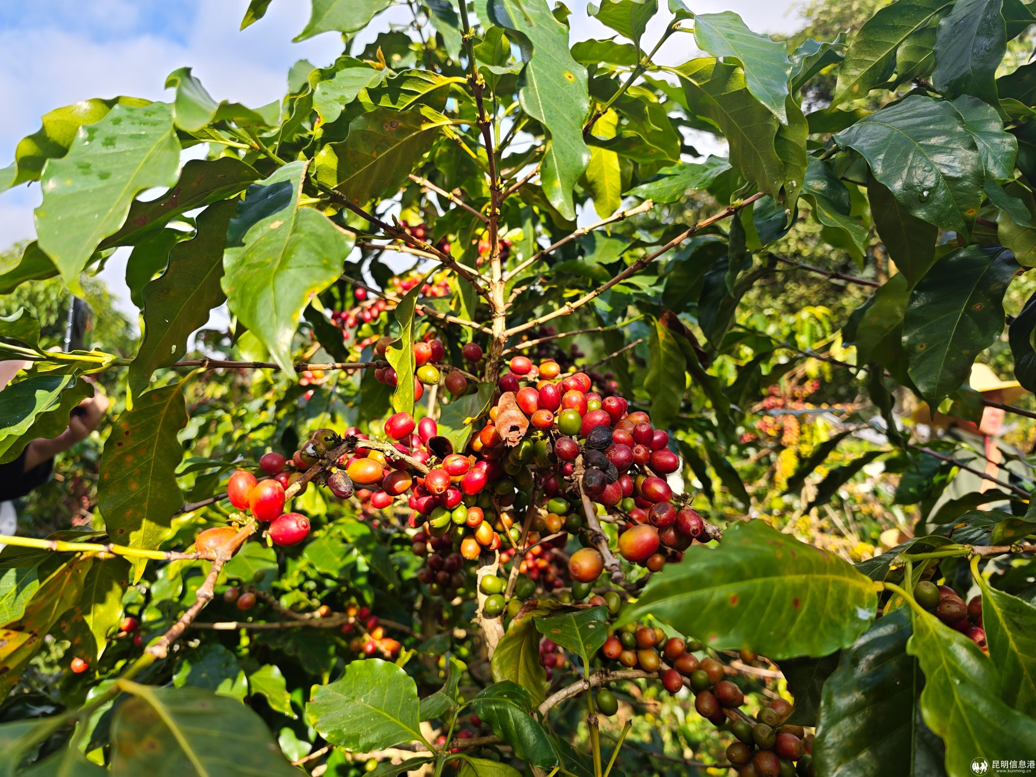 微信图片_20251221105549_23_367