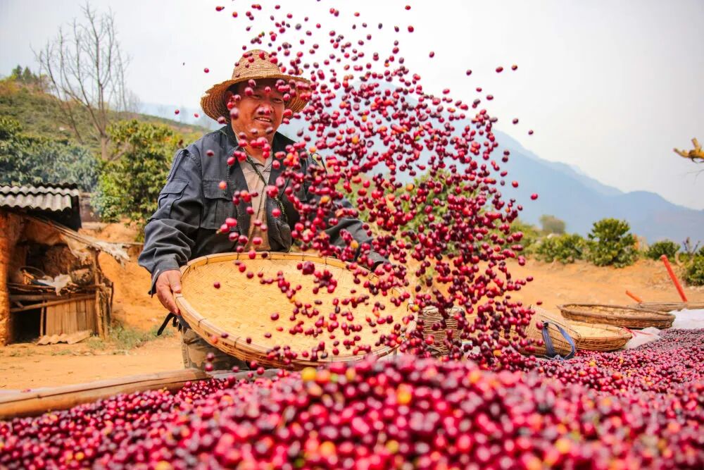 A9C45019B9C24E93994C73E26FC2F2E5