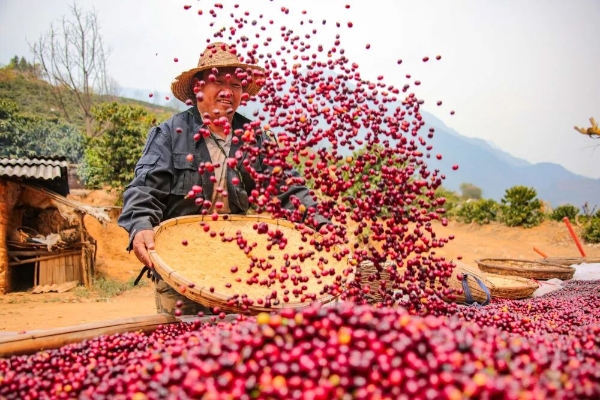 A9C45019B9C24E93994C73E26FC2F2E5