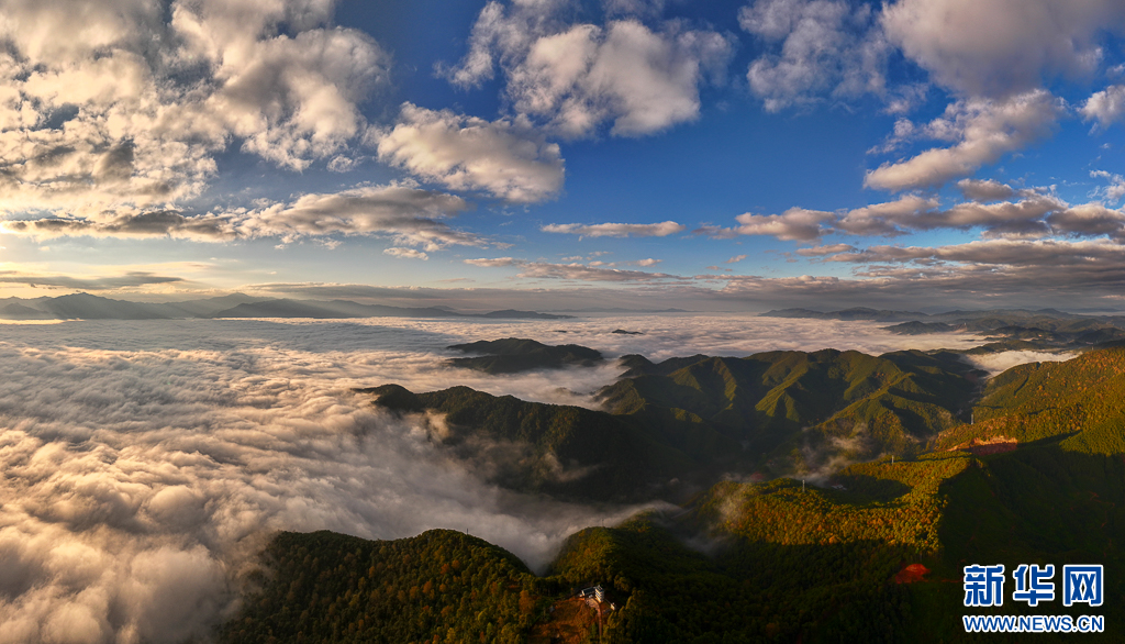 阳光照耀下的云海及群山（12月23日摄）。新华网发（刘东 摄）