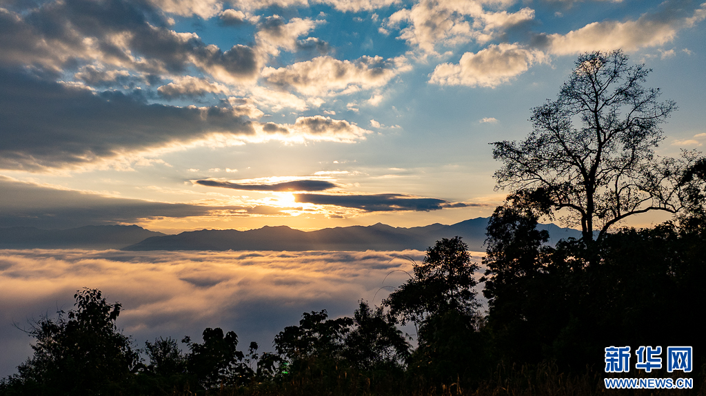 日出时分，阳光照耀云海（12月23日摄）。新华网发（刘东 摄）