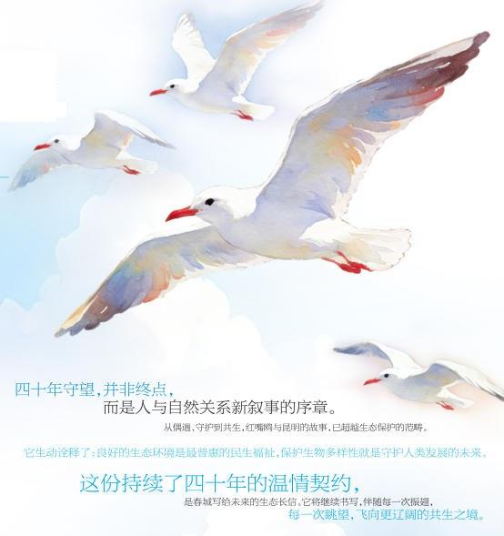 00ab1493-5d6b-4d2b-8999-ff893db9a495 00ab1493-5d6b-4d2b-8999-ff893db9a495