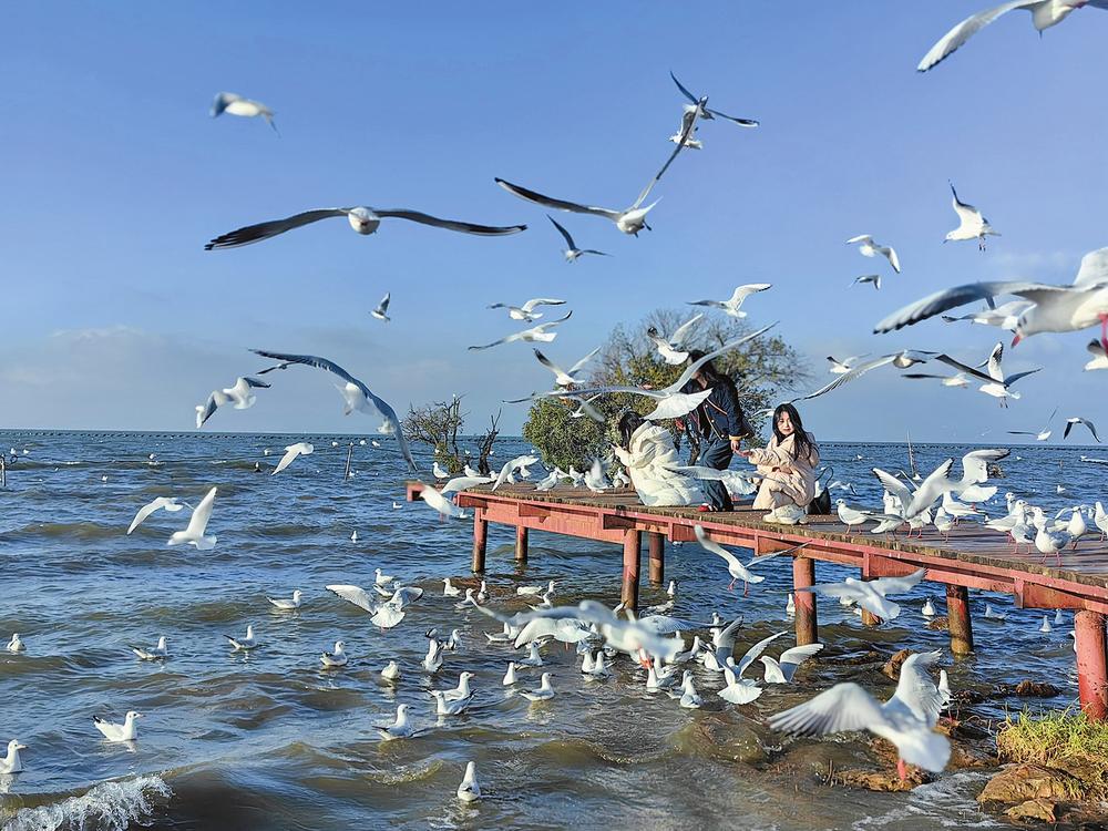 78d6e719-f48e-431e-85d8-b01770ac64e8 78d6e719-f48e-431e-85d8-b01770ac64e8