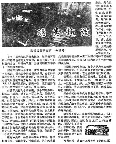 21ee32c2-b609-4998-8051-3edced122f3e 21ee32c2-b609-4998-8051-3edced122f3e