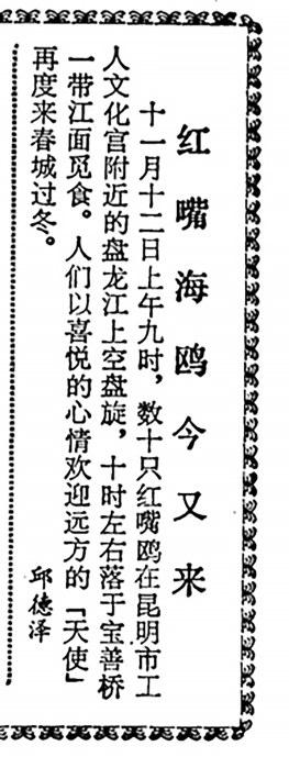 527a4cec-e5ce-49b0-b945-512c3239c2fd 527a4cec-e5ce-49b0-b945-512c3239c2fd