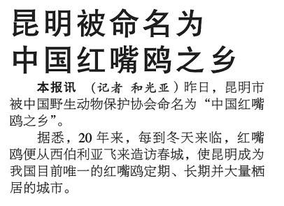 2db2d1b2-5029-40b1-809b-fec0ba4cc363 2db2d1b2-5029-40b1-809b-fec0ba4cc363