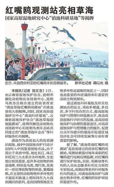 03175ba8-ad84-451b-926c-2fa4b11884e7 03175ba8-ad84-451b-926c-2fa4b11884e7