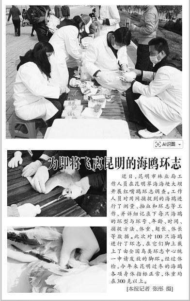 fbce39af-a440-4850-bbd9-474ca14872c7 fbce39af-a440-4850-bbd9-474ca14872c7