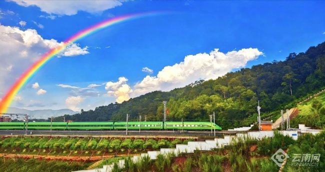 00307647633_a24c1f0b