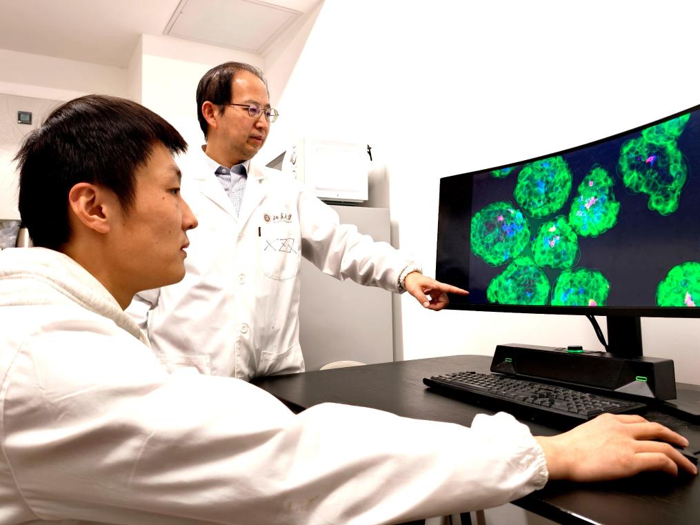 20260109ce3213c935cd493b880136dd66443618_202601097c299c1ac5de4fddb92591e8c69156f5