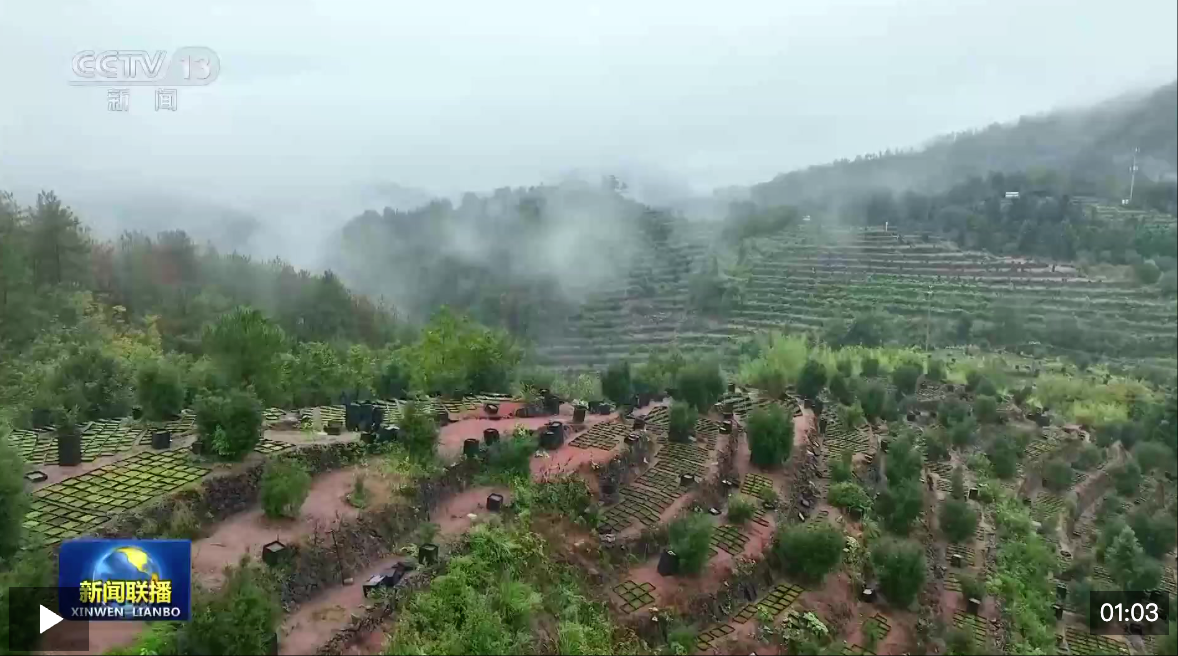 wechat_2026-01-09_171009_452