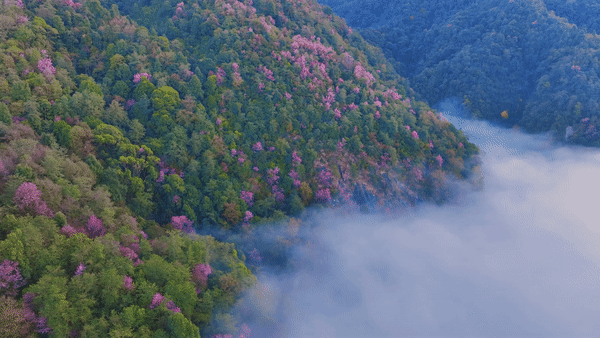 20260112ebcb999e930241d58089536d282de5c1_2026010971a28edeb5f64e32a5a9802e93c651a3