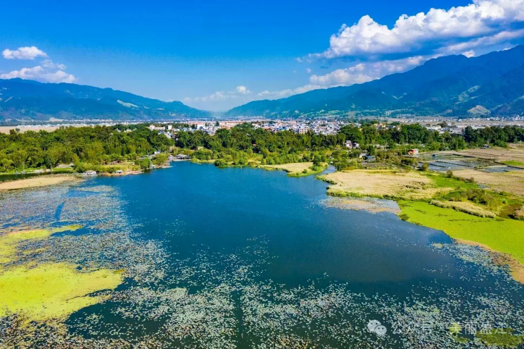 生态盈江丨旧城:香额湖畔的观鸟慢时光_昆明信息港
