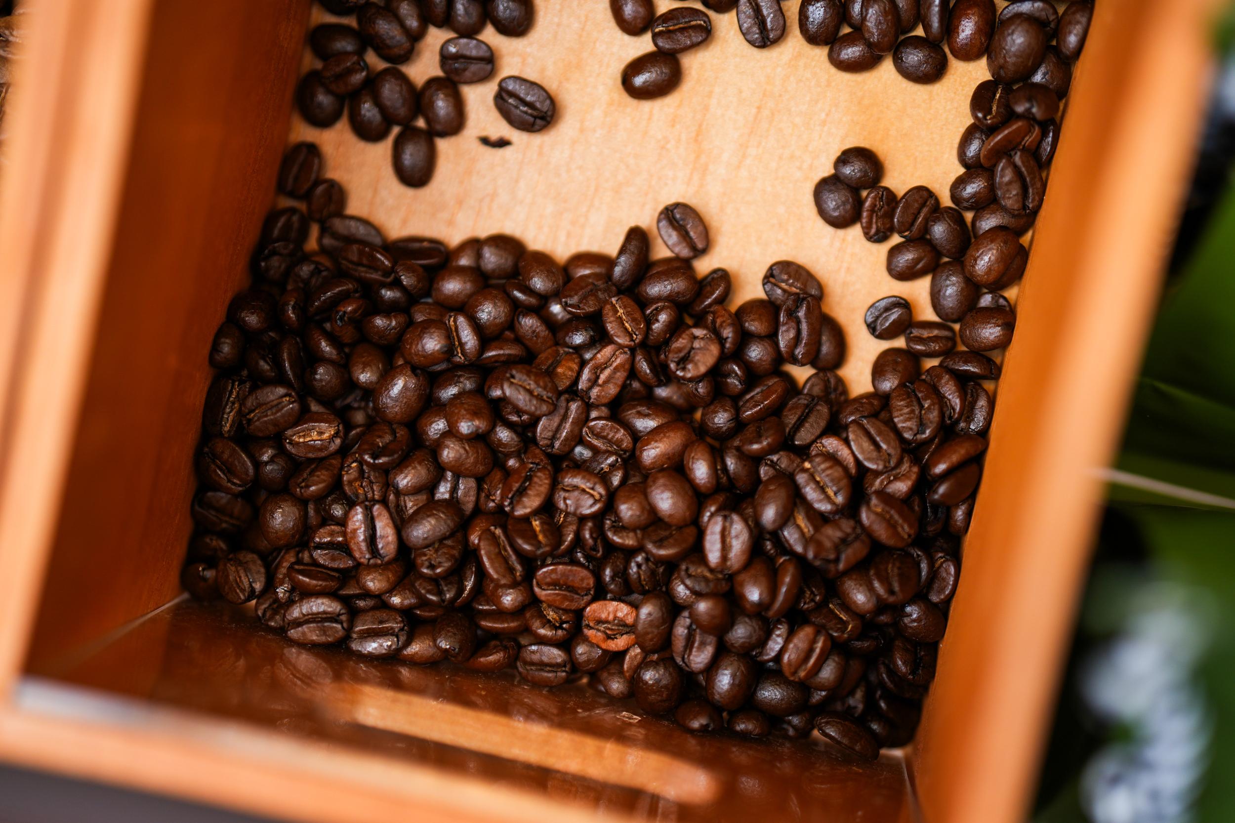 人民日报整版推介云南咖啡香飘世界的中国味道_昆明信息港