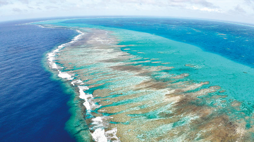 e0d55e9dc4c62ade1ca750