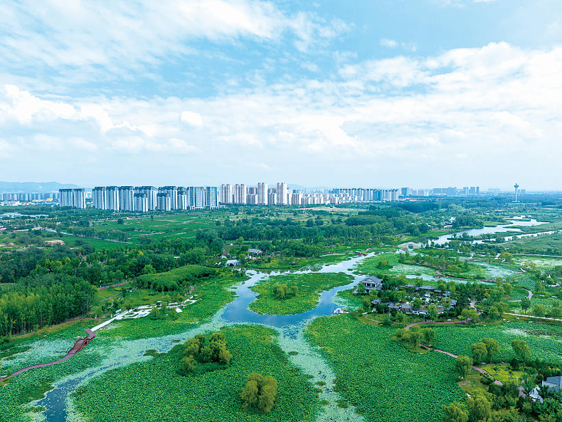 e0d55e9dc4c62ade1ca751