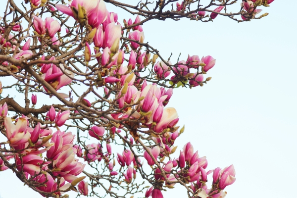 69732a32e4b0464522cec489