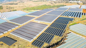 51331769192243002 51331769192243002