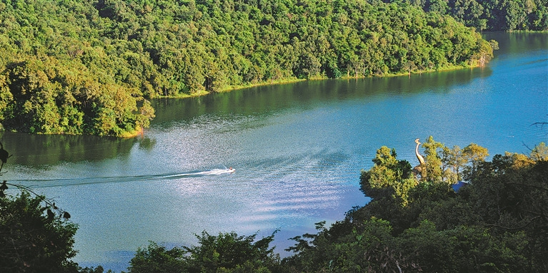 55453_d557aee4-82f0-43e6-acbe-1c0f37809455_l 55453_d557aee4-82f0-43e6-acbe-1c0f37809455_l