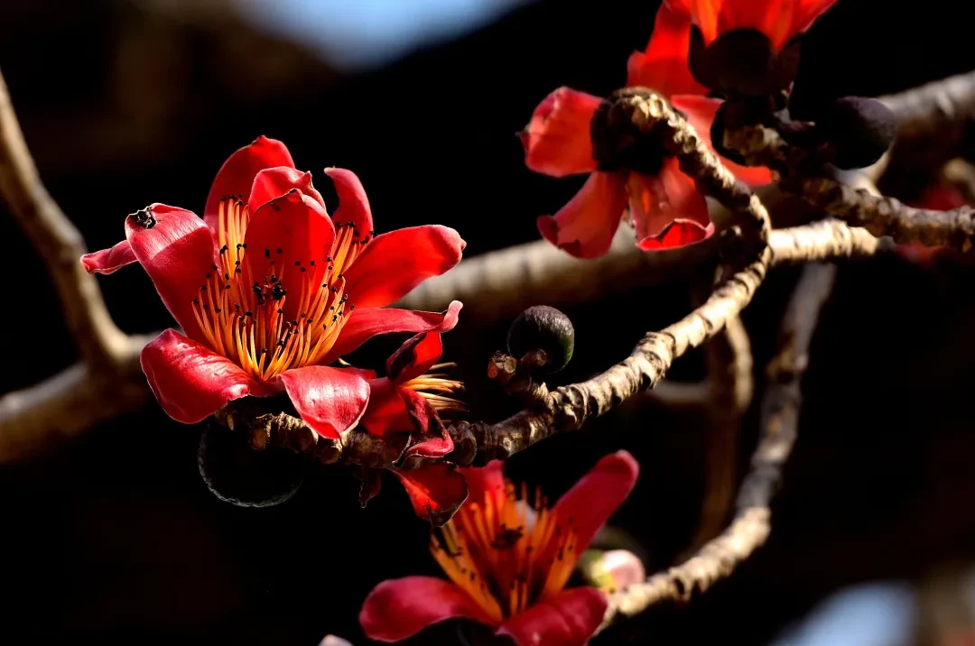 640_wx_fmt=jpeg (3)_副本_副本.png