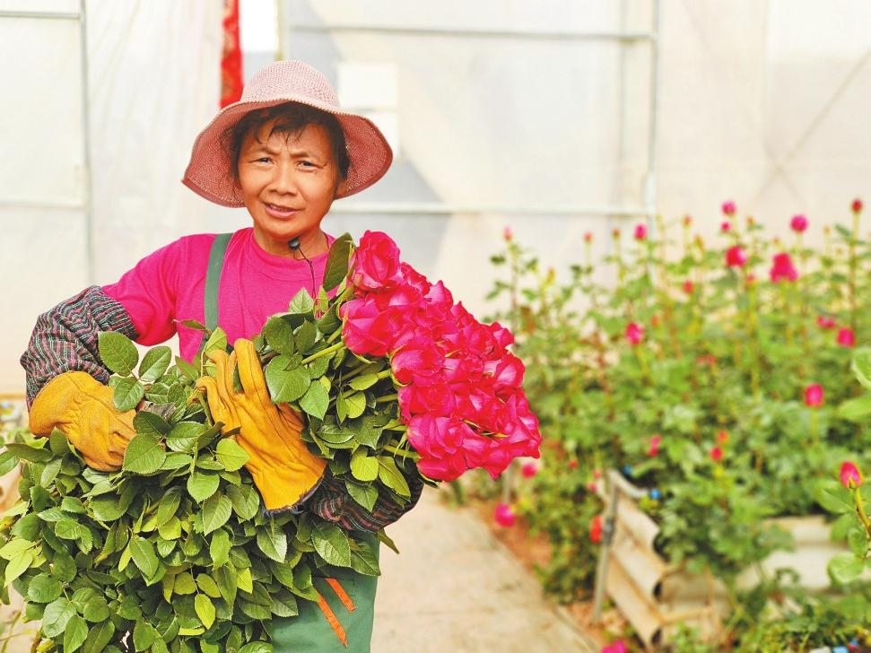 微信图片_20260210082938_523_251 微信图片_20260210082938_523_251