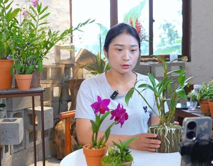 微信图片_20260210083125_524_251 微信图片_20260210083125_524_251