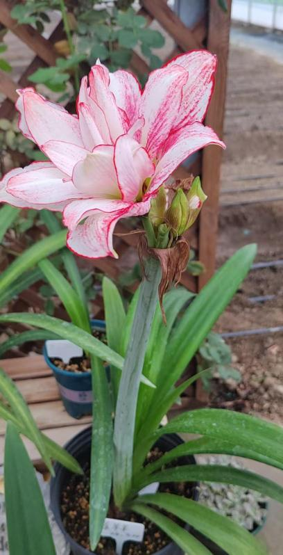 微信图片_20260210083300_525_251 微信图片_20260210083300_525_251