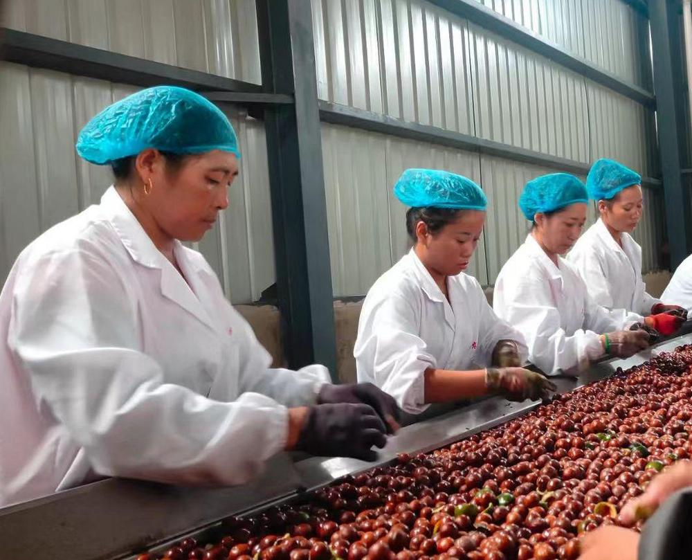 微信图片_20260210083420_526_251 微信图片_20260210083420_526_251