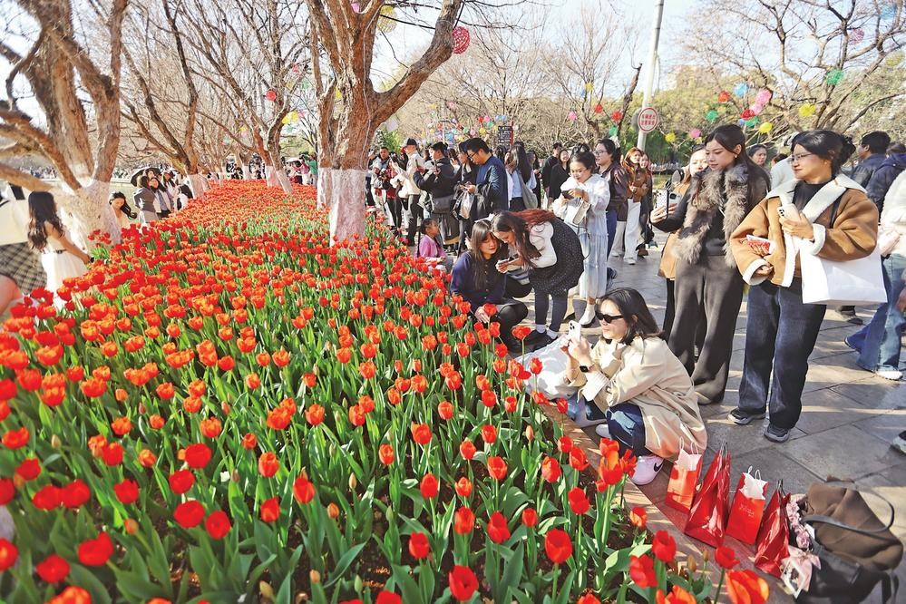 微信图片_20260211085118_112_158