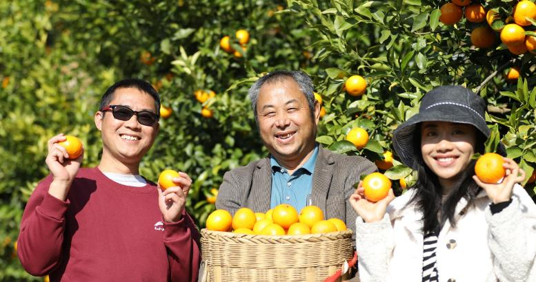 微信图片_20260212081814_542_251